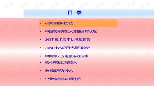 2006-2007年中國(guó)軟件技術(shù)應(yīng)用現(xiàn)狀與趨勢(shì)分析——兼論精品創(chuàng)業(yè)計(jì)劃書模板與技術(shù)交流